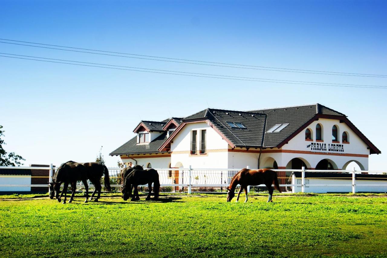 Farma Loreta Vila Vlašim Exterior foto